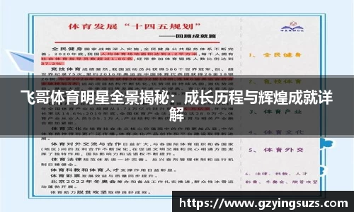 飞哥体育明星全景揭秘：成长历程与辉煌成就详解